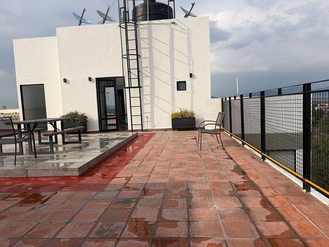 Foto de la galeria de imagenes